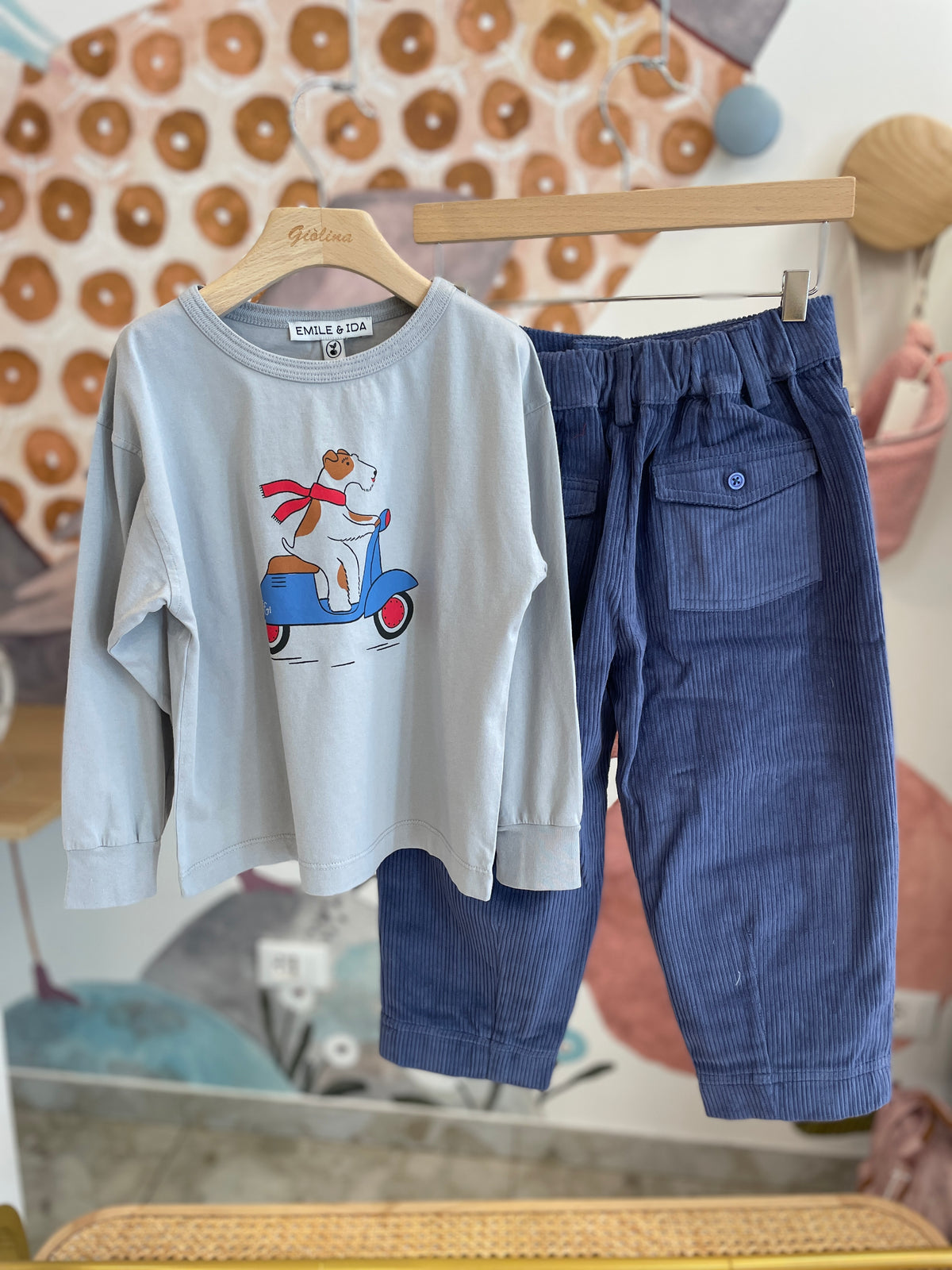 Felpa color block stampa sardine con denim o pantalone velluto, t-shirt stampe varie