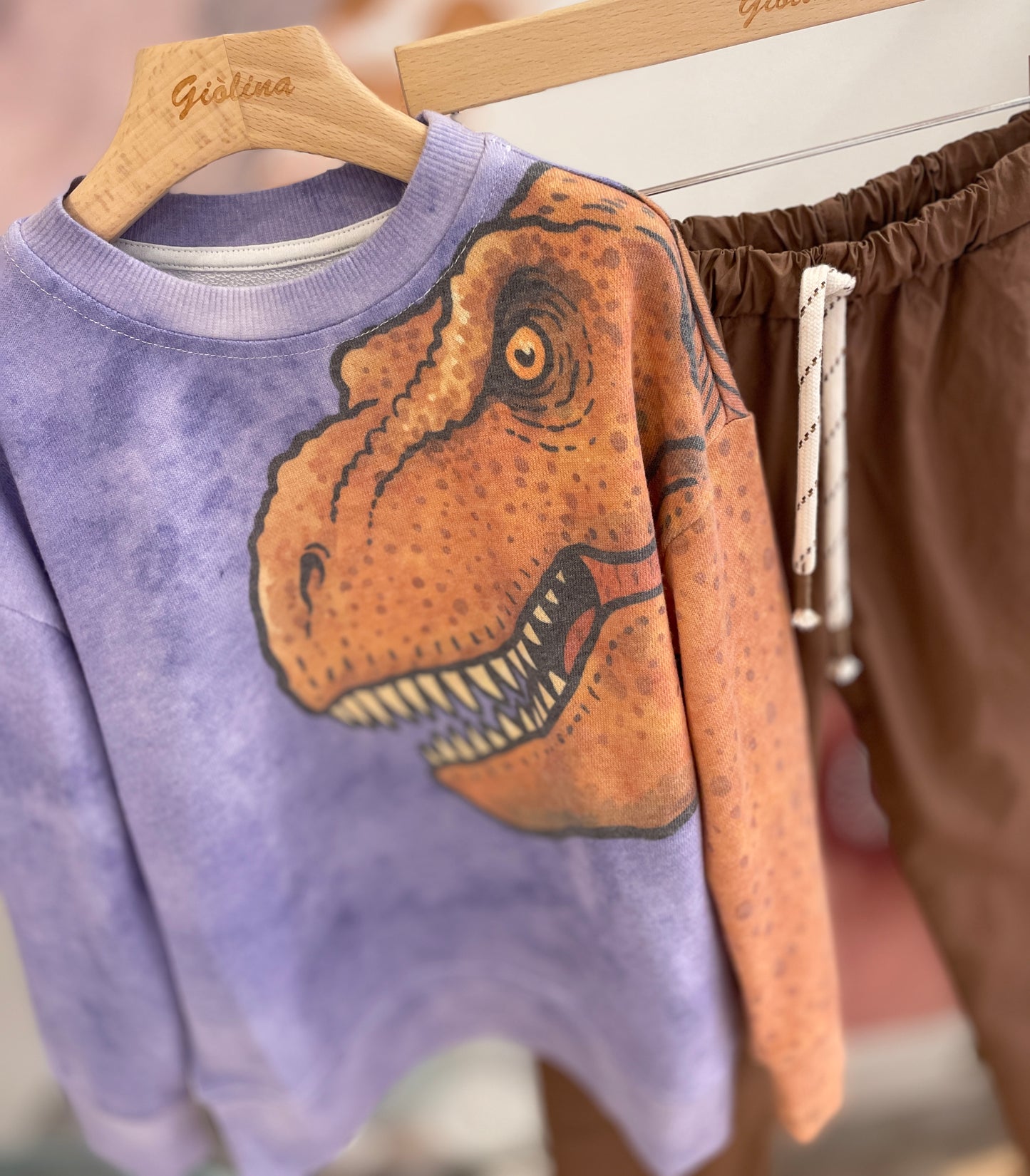 Felpa cotone riciclato con t-shirt dinosauro e pantalone terra