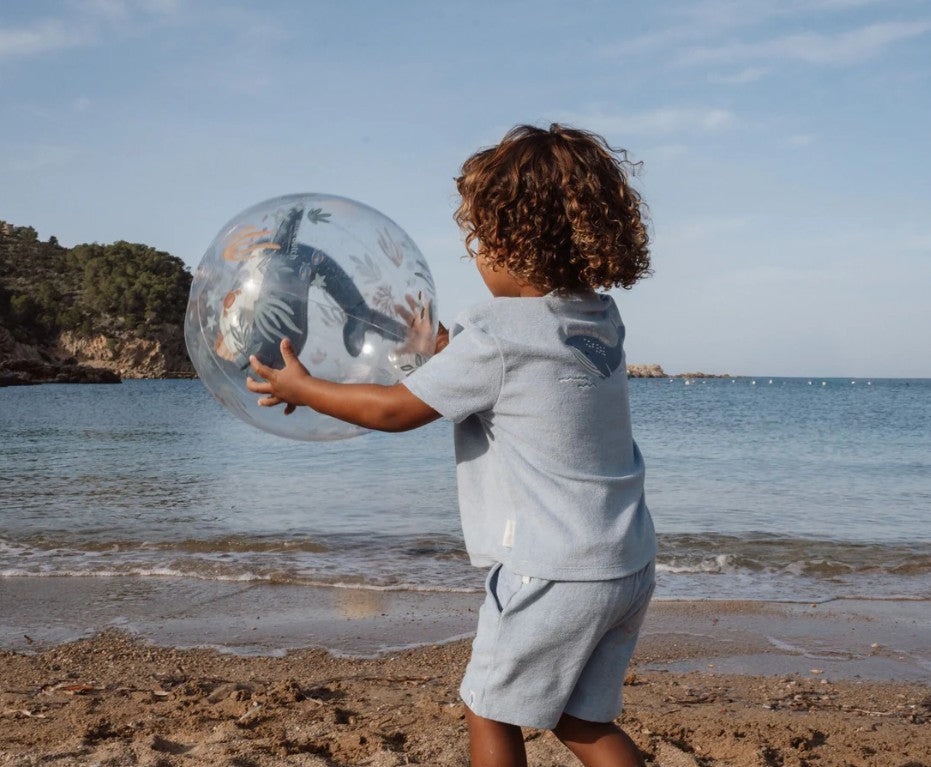 Beach ball Balena